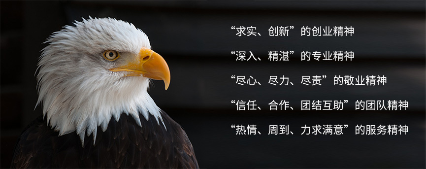 神雕起重企业文化