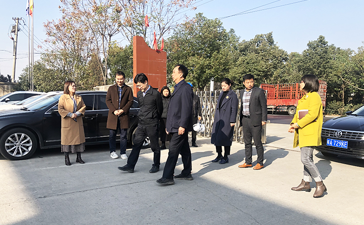 县领导莅临神雕起重